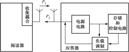 晶片