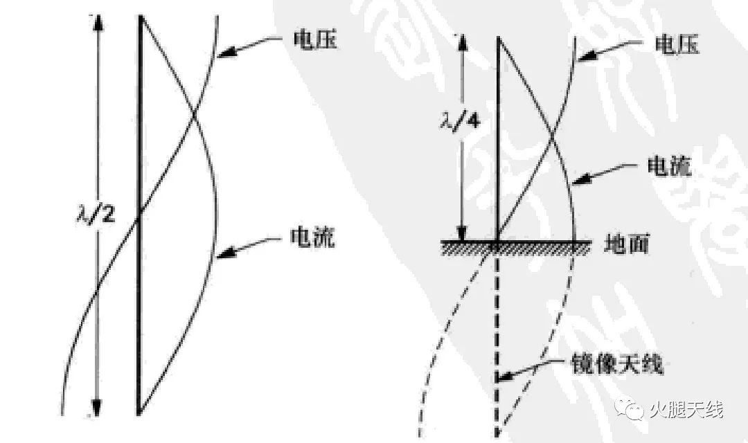 垂直单极天线介绍