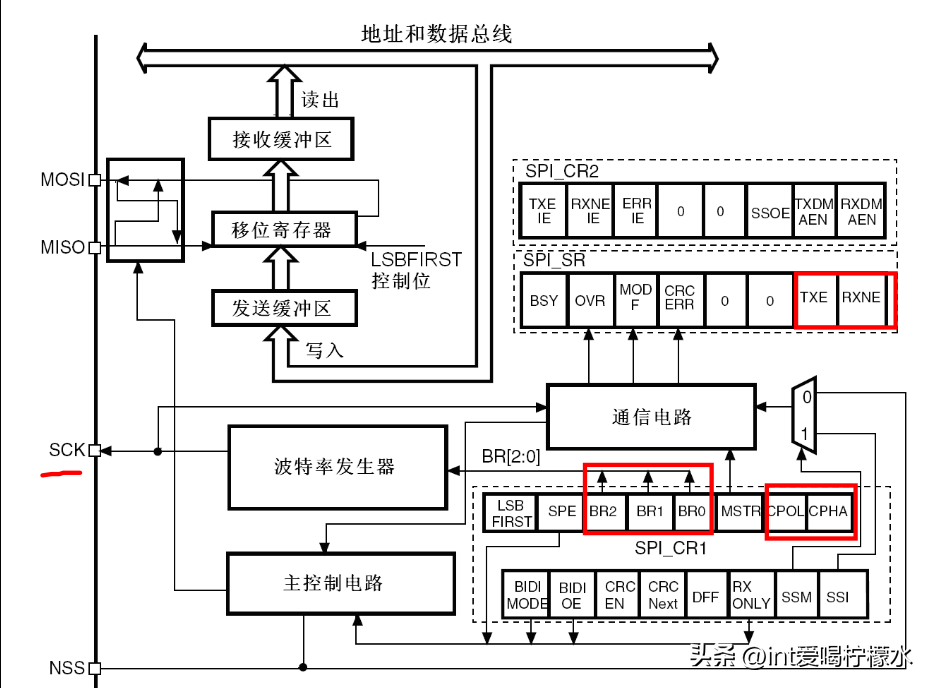 总线