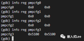 RISC-V