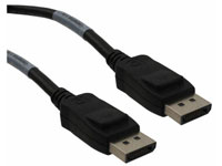 DisplayPort 和 Mini DisplayPort 互连系统