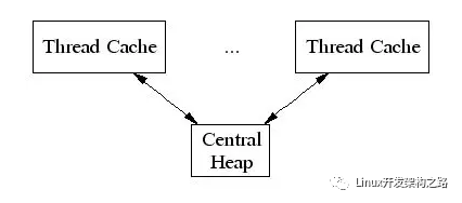 C++语言