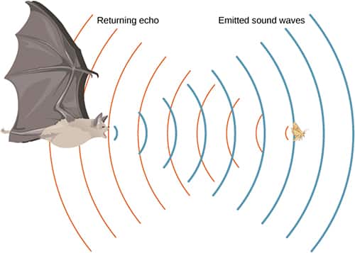 應用超聲波換能器感測物體或流體流量的基礎知識