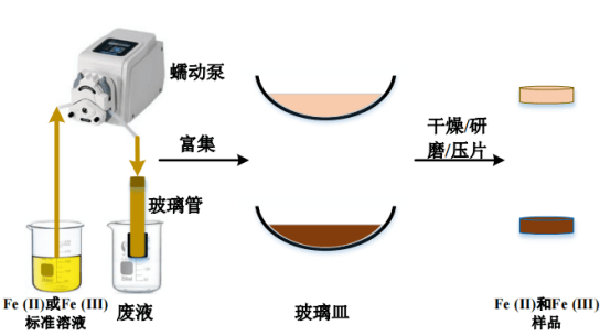 螯合樹脂輔助 <b class='flag-5'>LIBS</b> 技術對水中鐵元素<b class='flag-5'>檢測</b>研究