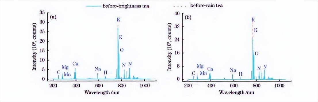 LDA