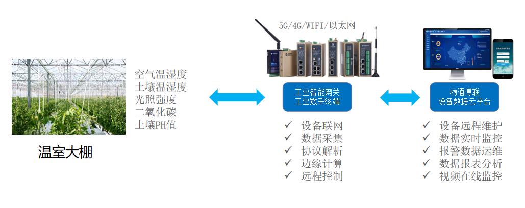 智慧農業大棚物聯網遠程監控系統解決方案