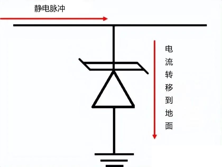 TVS管