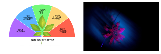 照明