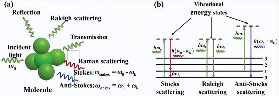 拉曼光谱仪基本原理和典型应用