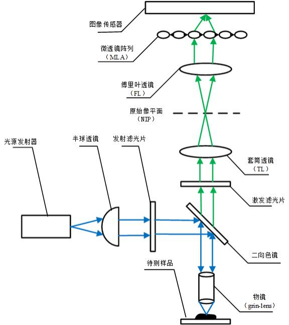 显微镜