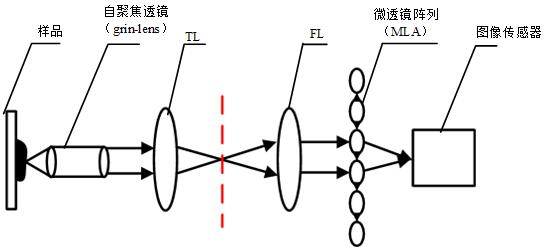 显微镜