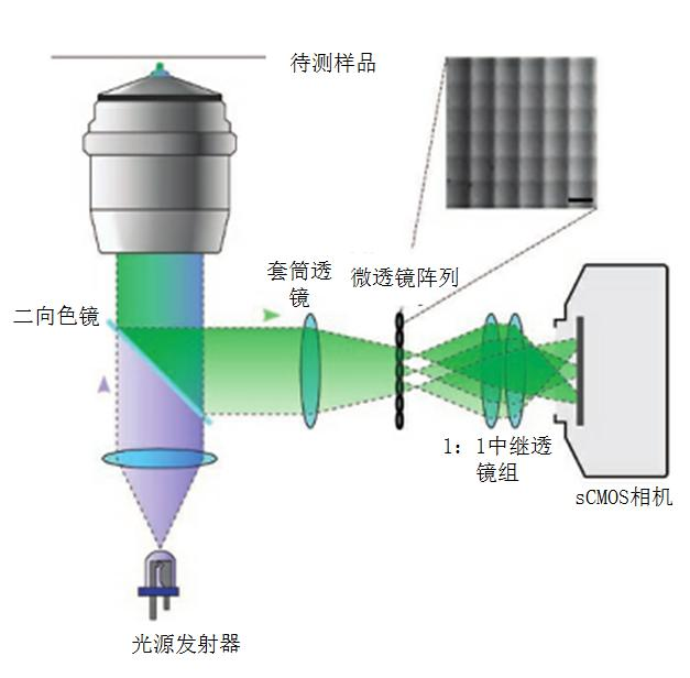 显微镜