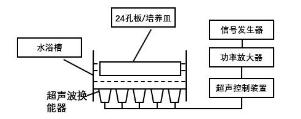 功率放大器基于基于超聲生物效應(yīng)的裝置及動(dòng)植物研究的應(yīng)用