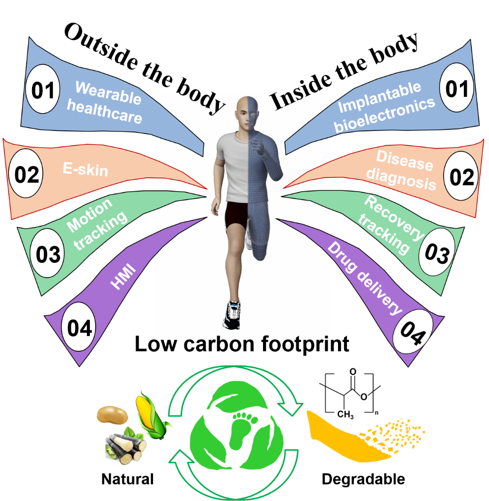 同濟大學：研究基于雙極性駐極體的全<b class='flag-5'>生物</b>可<b class='flag-5'>降解</b>、高靈敏度壓力傳感器及體內/外<b class='flag-5'>生物</b>力學信號監測應用