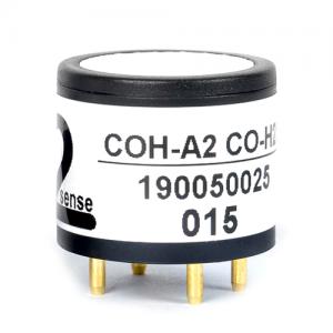 (H2S+CO) 双气传感器在石油天然气行业安全监控的应用