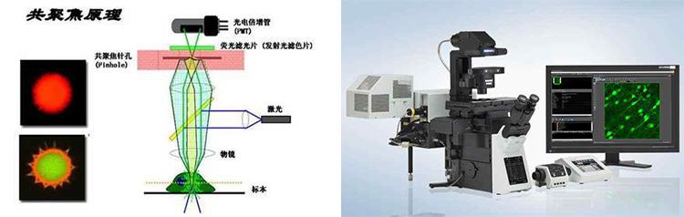 芯明天压电物镜定位器应用于半导体晶圆质量检测系统