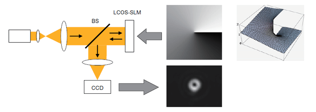 滨松涡旋光解决方案 ：空间光调制器LCOS-SLM和科研相机