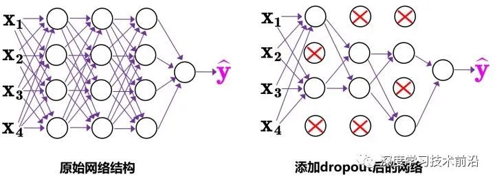 网络结构