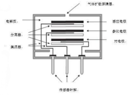 碳中和