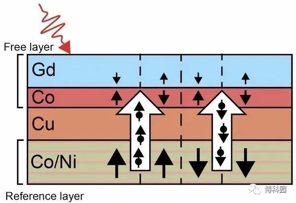 a9156130-c443-11ec-bce3-dac502259ad0.jpg