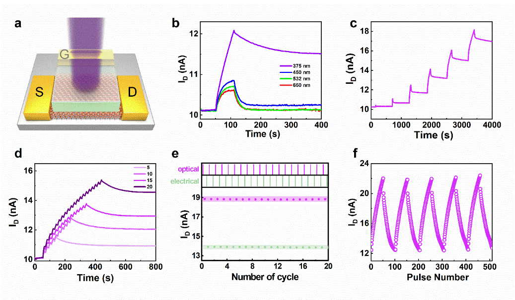 da021dac-c587-11ec-bce3-dac502259ad0.png