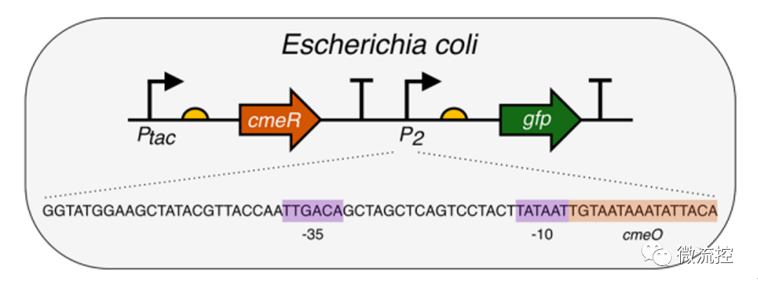 57a3ddf4-d7da-11ec-bce3-dac502259ad0.png