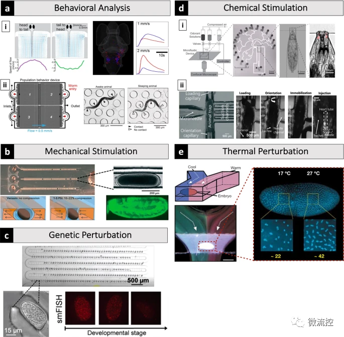 0319fda2-f811-11ec-ba43-dac502259ad0.png