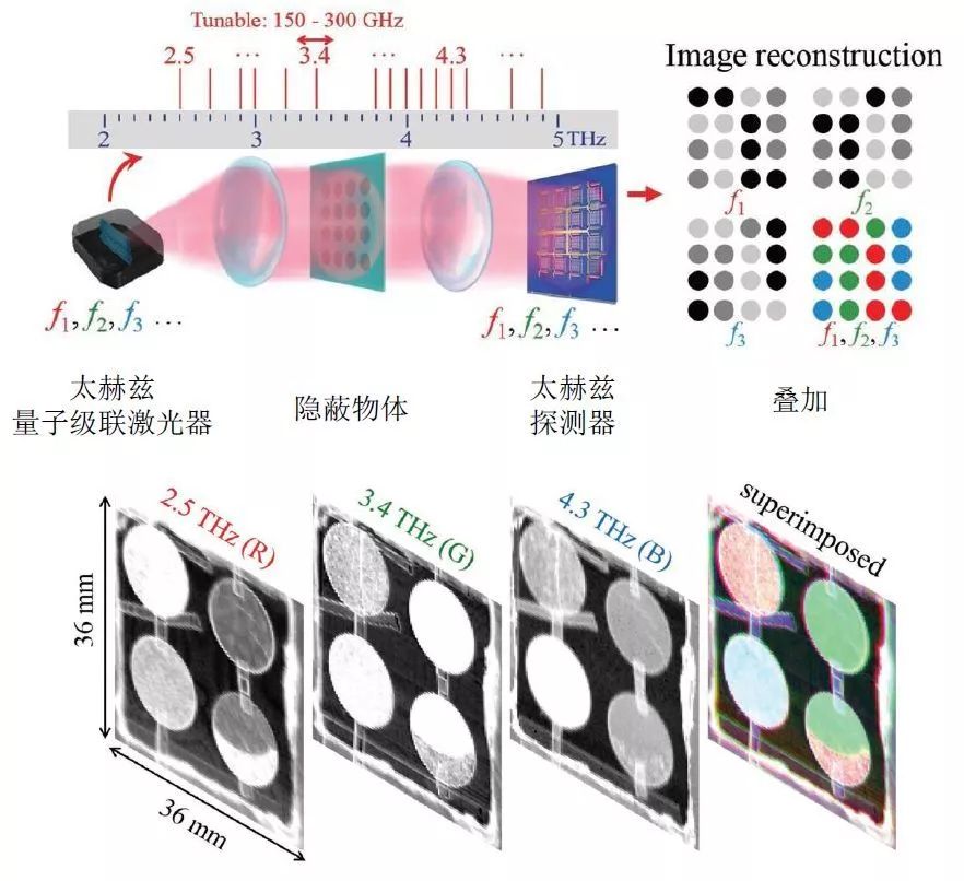 d25cdca0-fd80-11ec-ba43-dac502259ad0.jpg