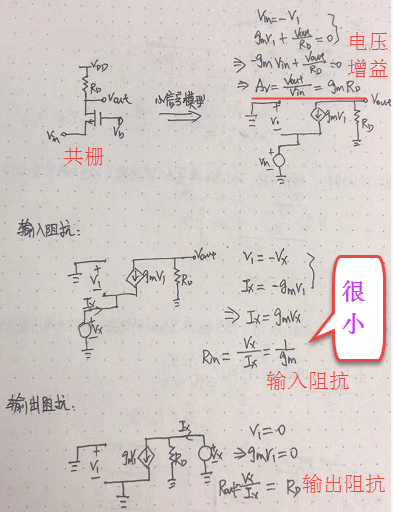 放大器