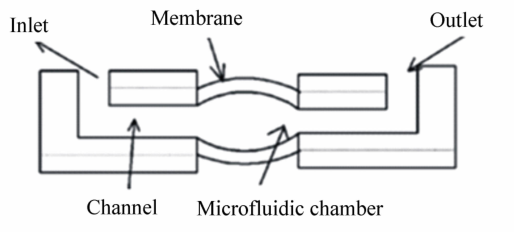 eb06ca88-02b0-11ed-ba43-dac502259ad0.png