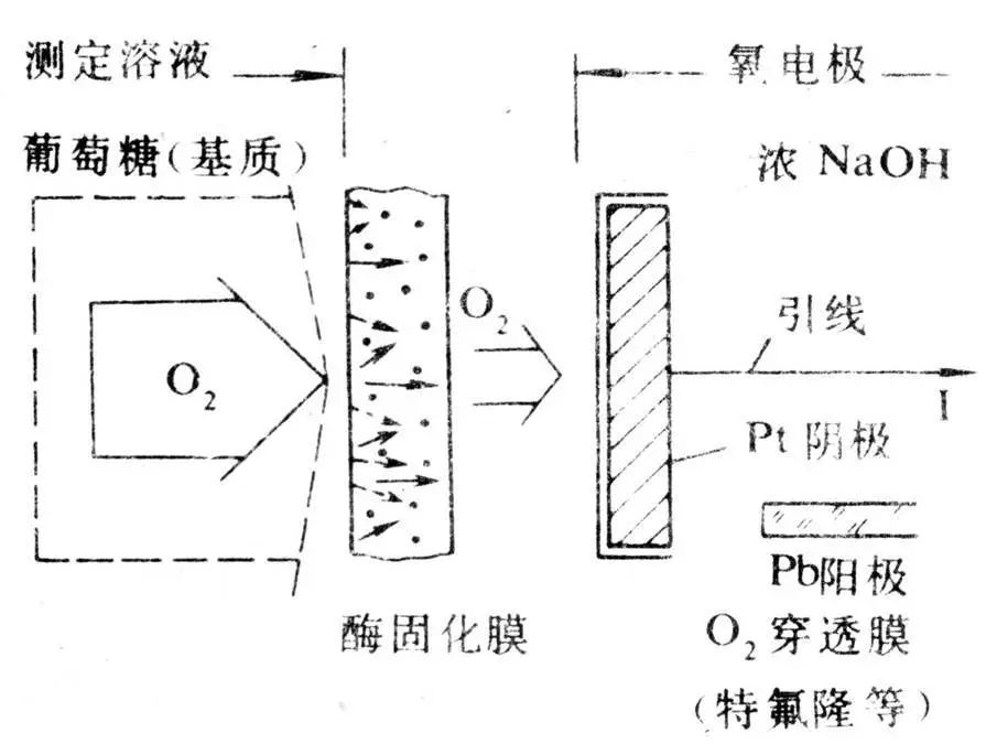 a5408148-0ba6-11ed-ba43-dac502259ad0.jpg