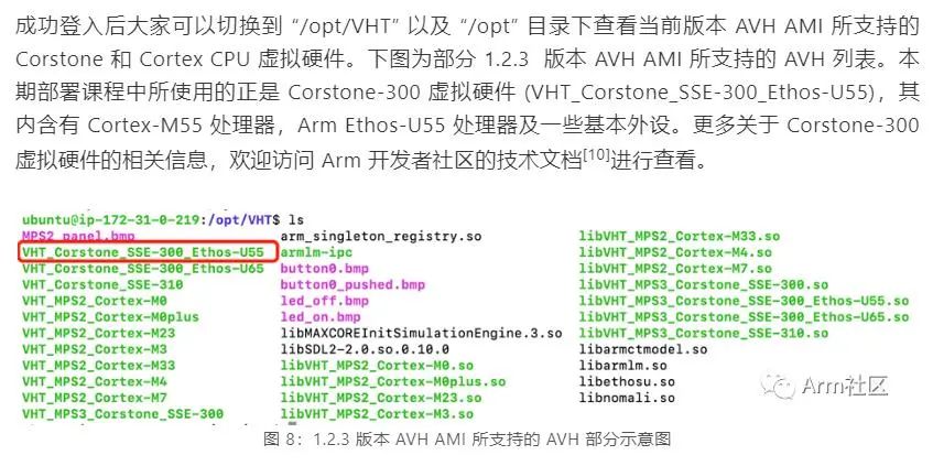 51cbdc3c-19ee-11ed-ba43-dac502259ad0.jpg