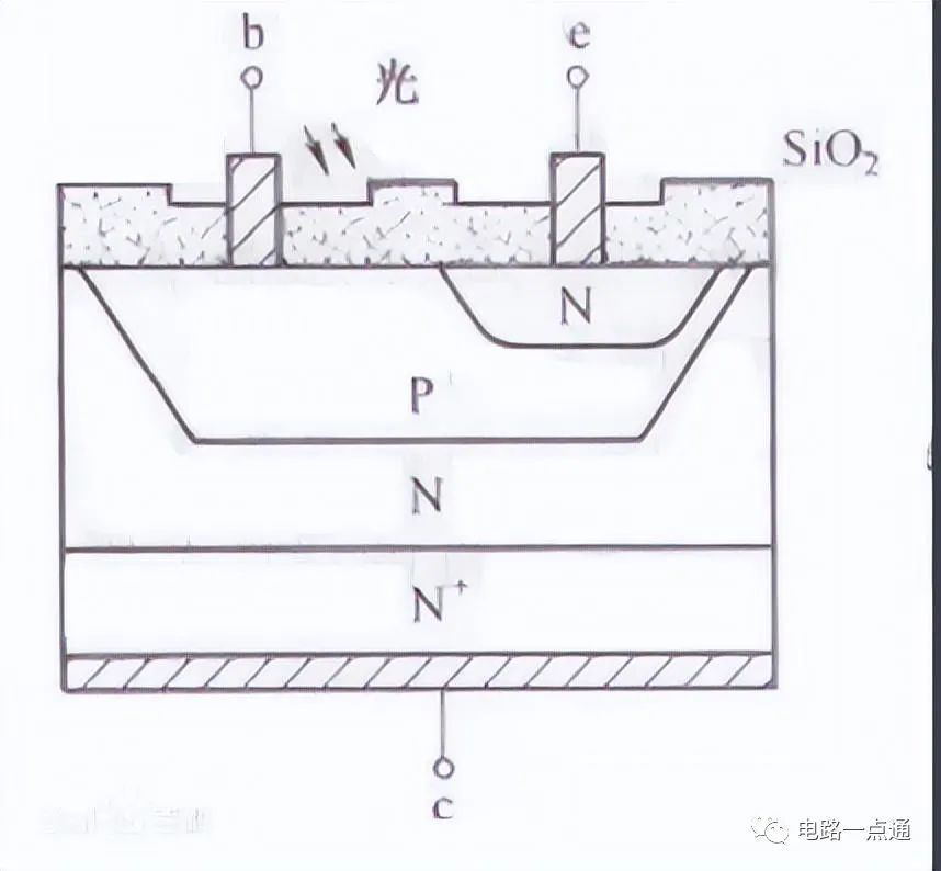 25a2772a-19f2-11ed-ba43-dac502259ad0.jpg