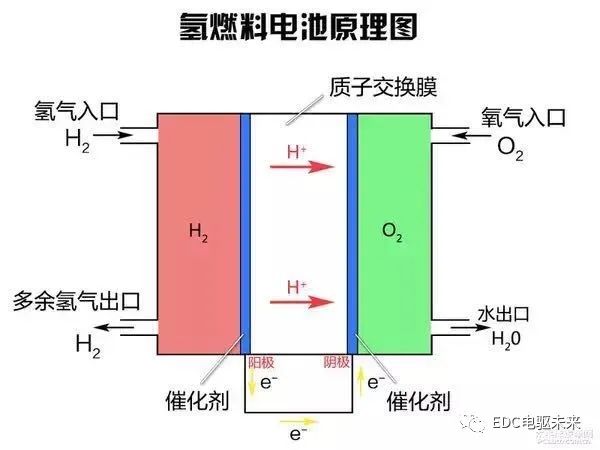 燃料电池