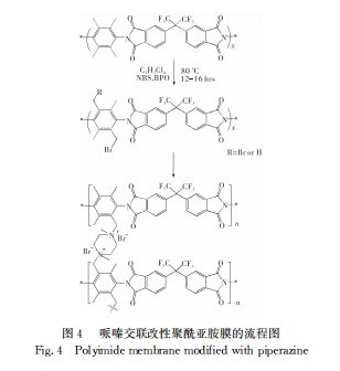 分离膜