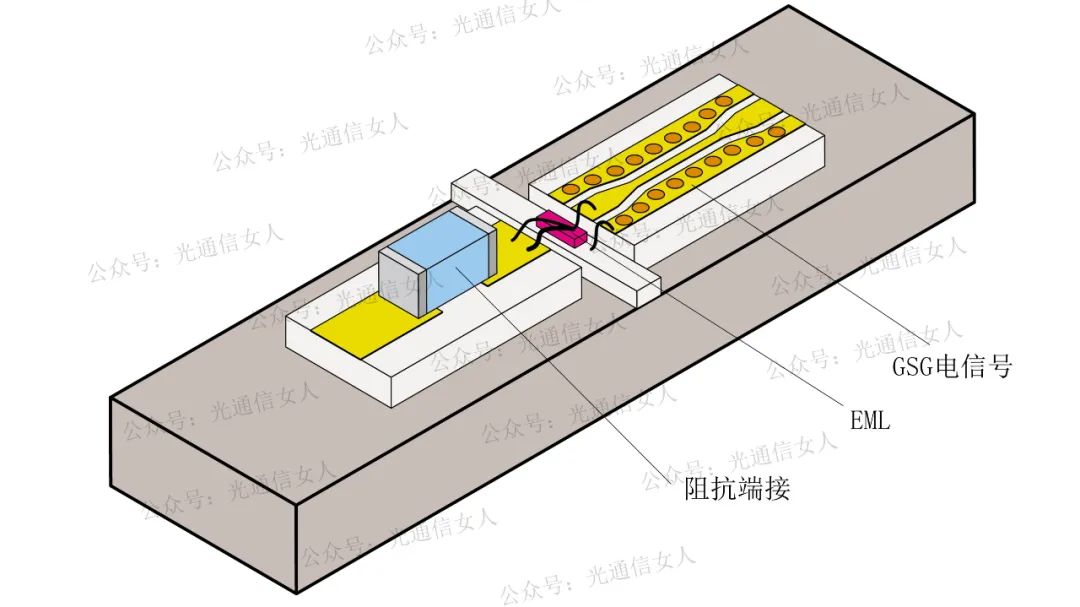 射频信号