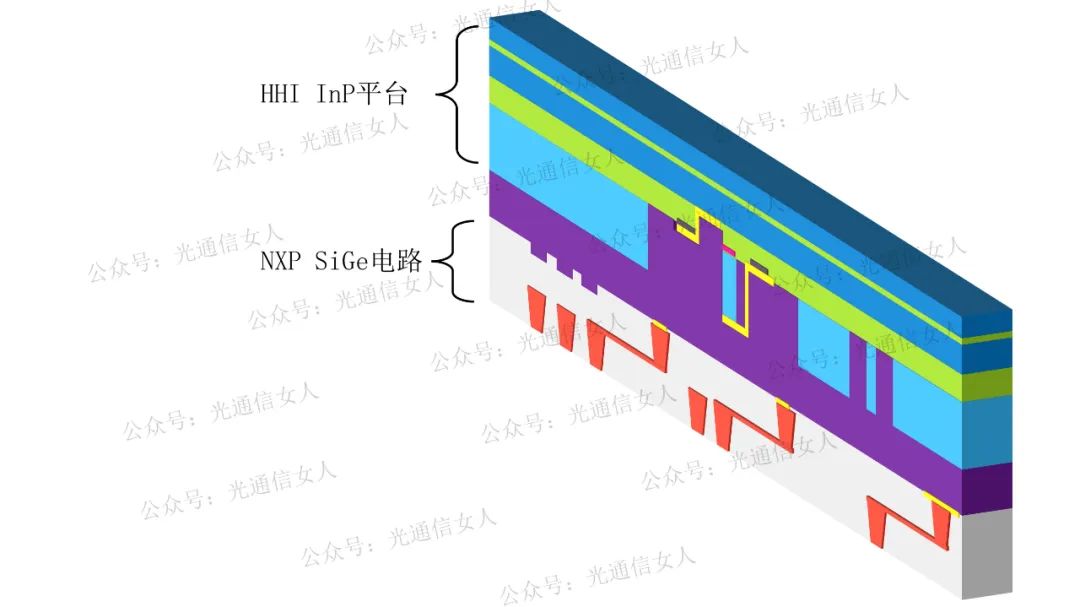 be54fc7e-3d3b-11ed-9e49-dac502259ad0.jpg