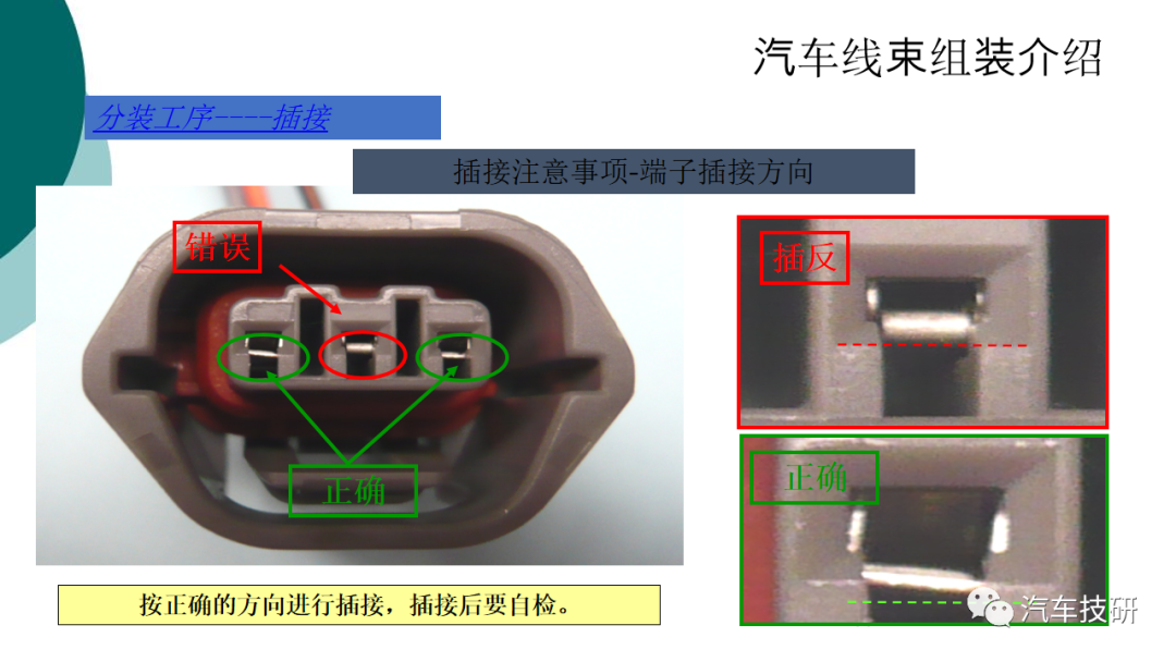 线束