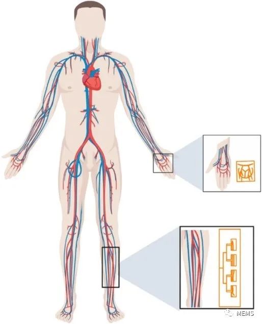 信号处理