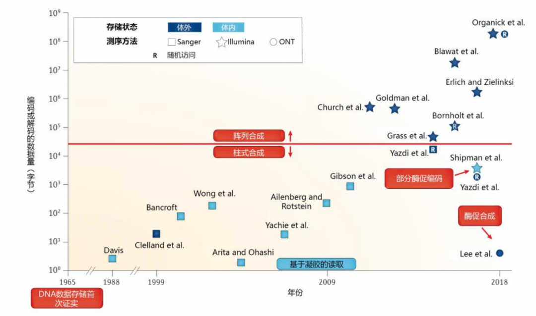 DNA存储