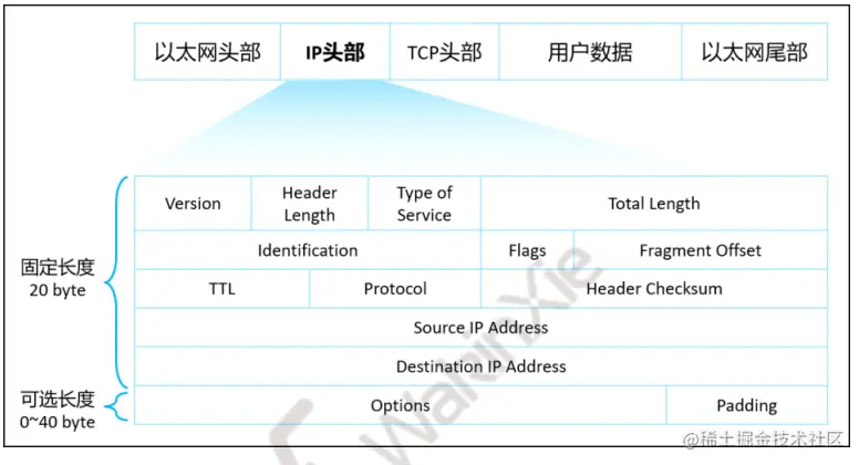 网络设计