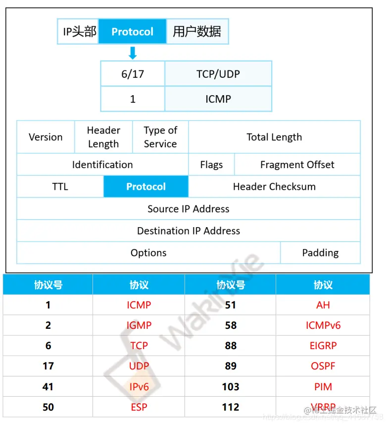 网络设计