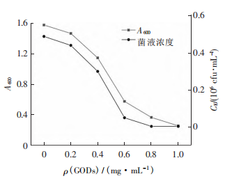 量子点