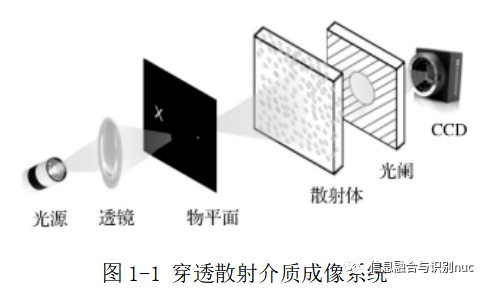 光学成像