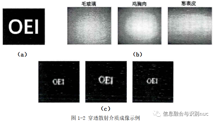 光学成像