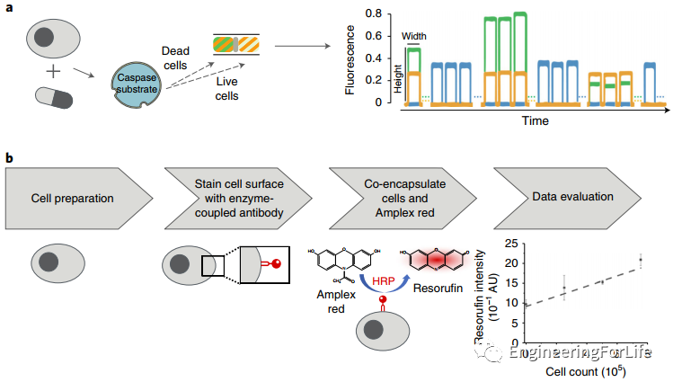 ef03cdfa-5983-11ed-a3b6-dac502259ad0.png