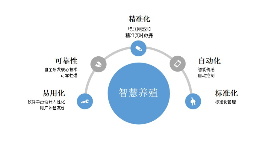 互联网