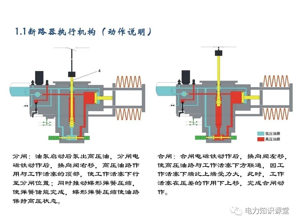 a78ea30e-5718-11ed-a3b6-dac502259ad0.jpg