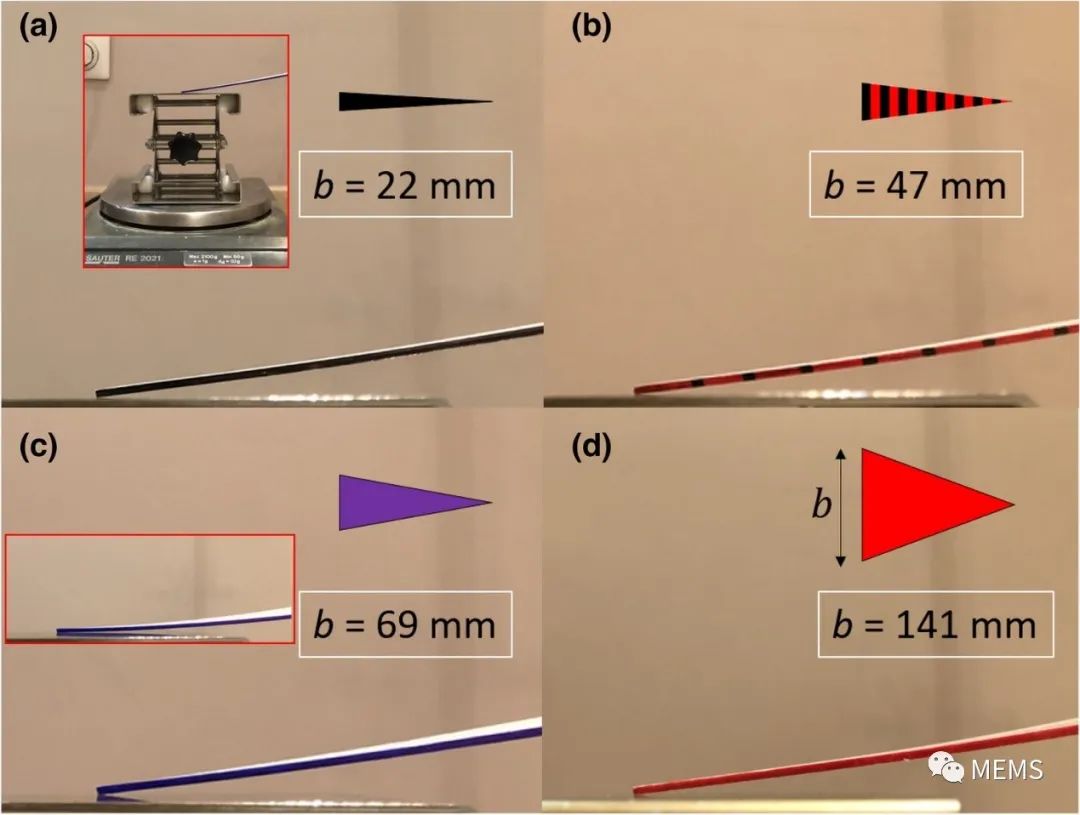 1ecd432e-68f0-11ed-8abf-dac502259ad0.jpg