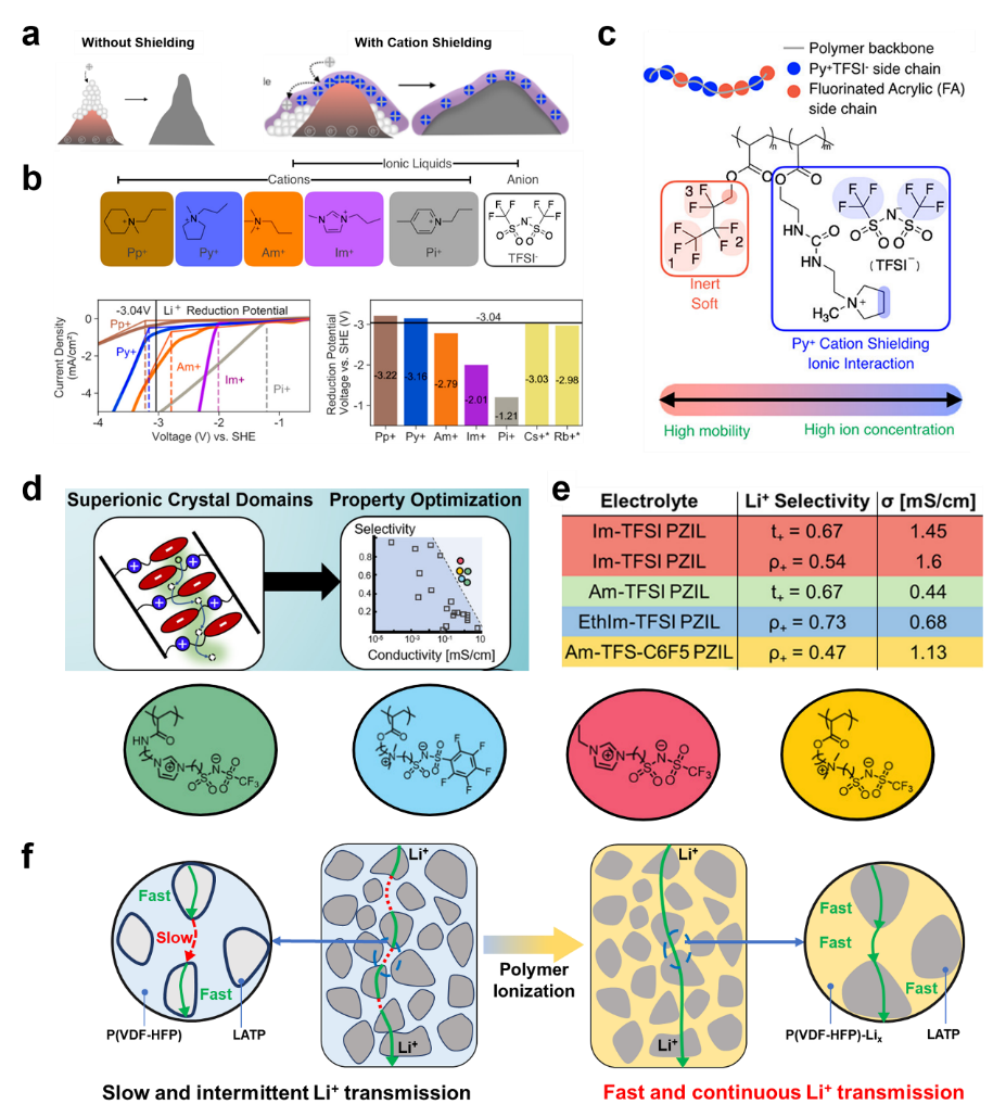 聚离子液体在固态锂电池中的应用:静电屏蔽涂层;离子导电域解耦提升